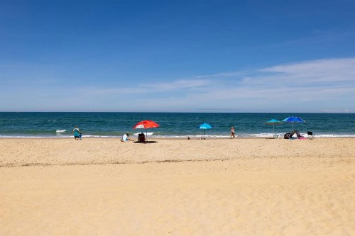 Dolphin Oceanfront Motel - Nags Head - image 12