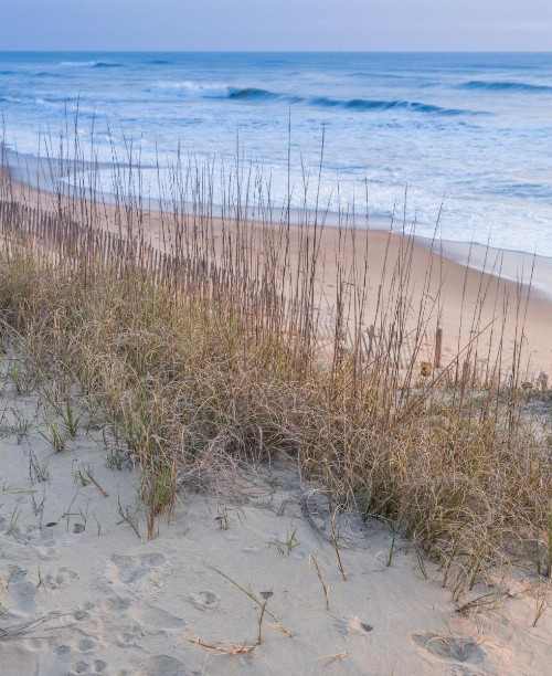 Holiday Inn Express Nags Head Oceanfront an IHG Hotel - image 29