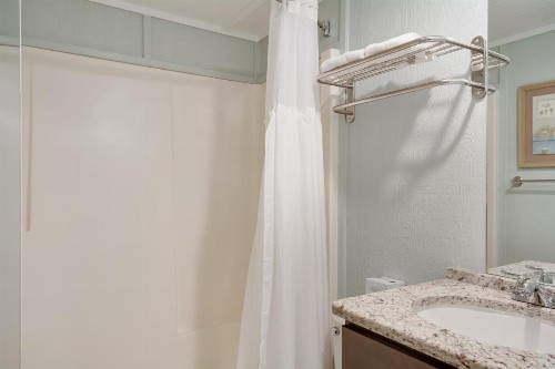 Tar Heel Motel - image 45