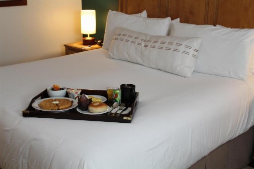 Elm House Inn - image 4