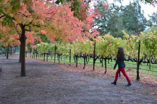 Chardonnay Lodge - image 22
