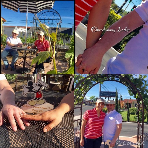 Chardonnay Lodge - image 23