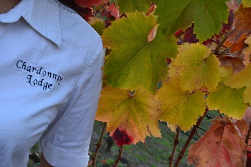 Chardonnay Lodge - image 28