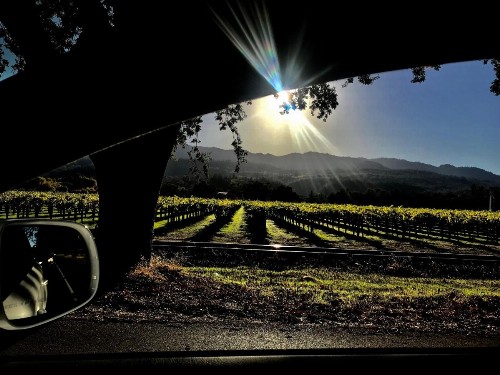 Chardonnay Lodge - image 35