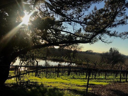 Chardonnay Lodge - image 40