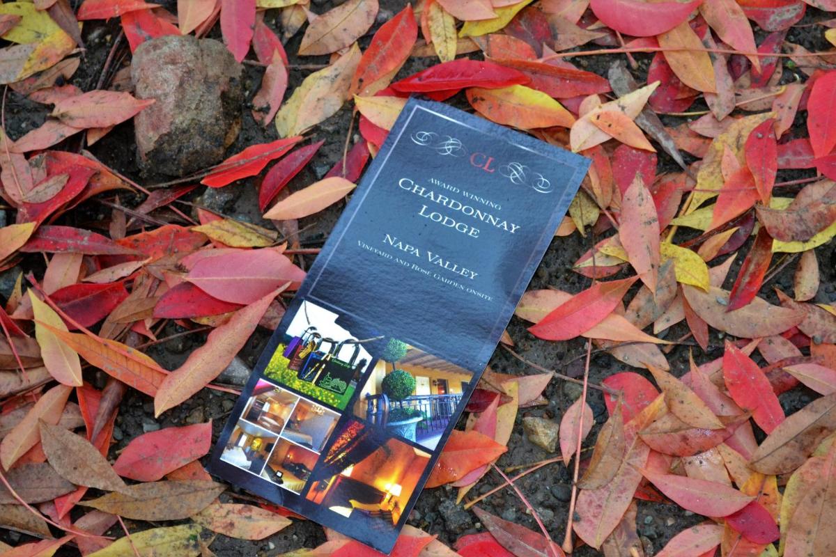 Chardonnay Lodge - image 6