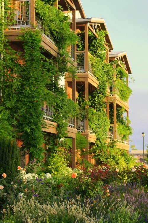Napa River Inn - image 22