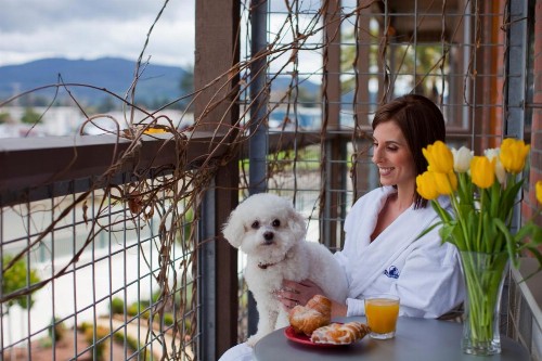 Napa River Inn - image 25
