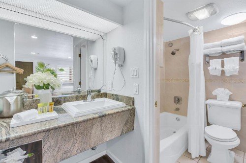 Napa Valley Hotel & Suites - image 5