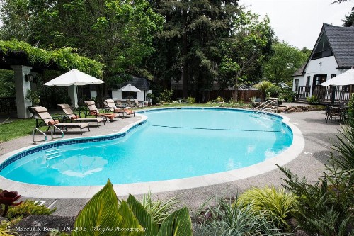 Candlelight Inn Napa Valley - image 11