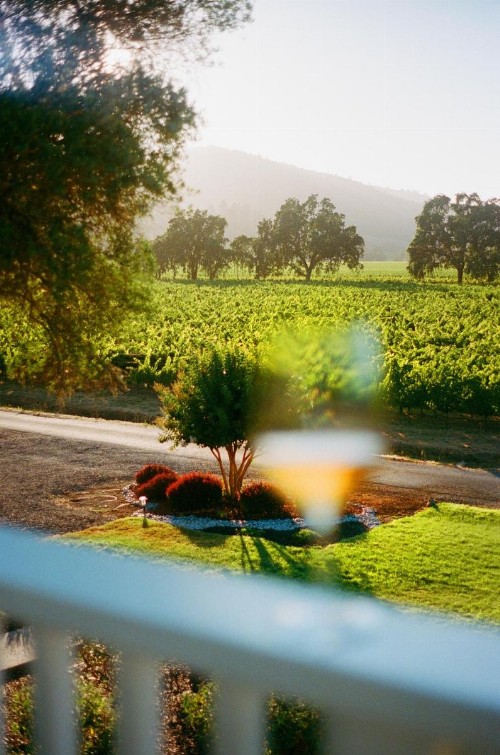 The Setting Inn Napa Valley - image 11