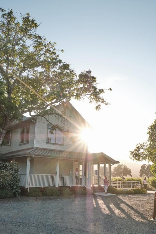 The Setting Inn Napa Valley - image 20