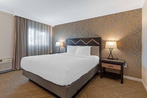 Best Western Plus Inn at the Vines - image 19