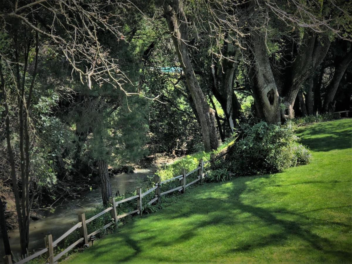 Stahlecker House - image 7