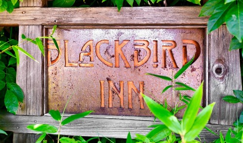 Blackbird Inn - image 10