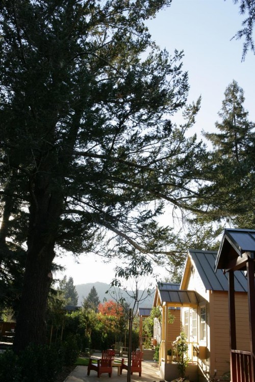 The Cottages of Napa Valley - image 32