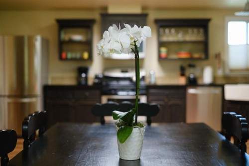 The Cottages of Napa Valley - image 7
