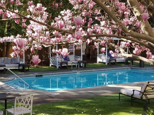 The White House Inn & Spa - image 6