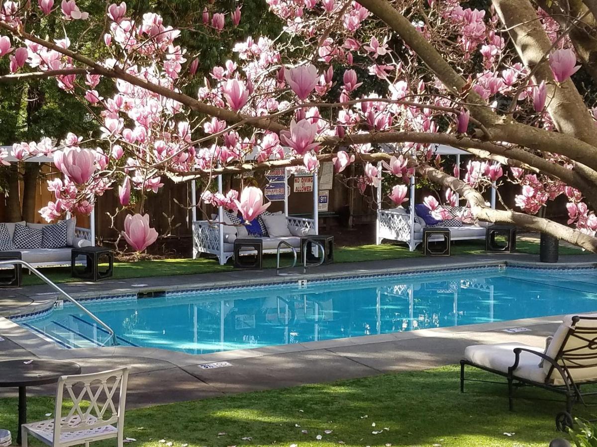The White House Inn & Spa - image 6