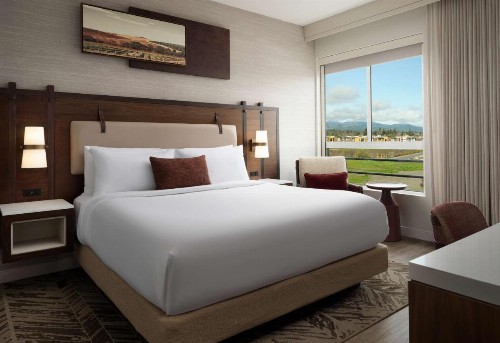 Cambria Hotel Napa Valley - image 16
