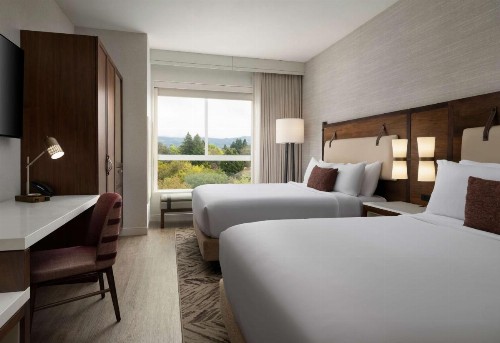 Cambria Hotel Napa Valley - image 21