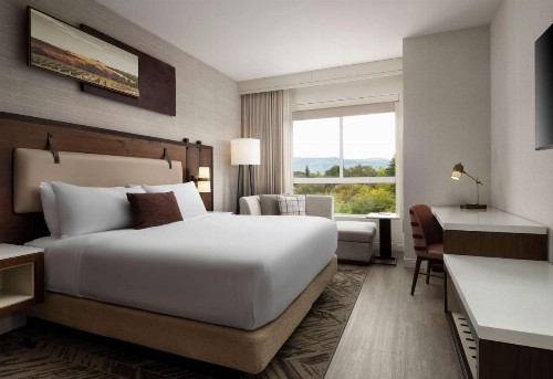 Cambria Hotel Napa Valley - image 28