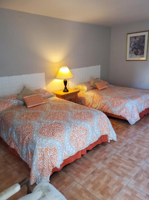 Conty's Motel - image 2