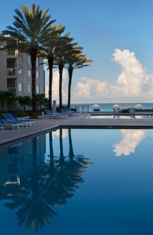 Edgewater Beach Hotel - image 5
