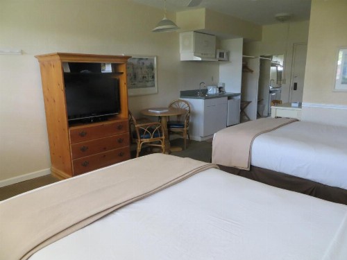 Lemon Tree Inn - image 11