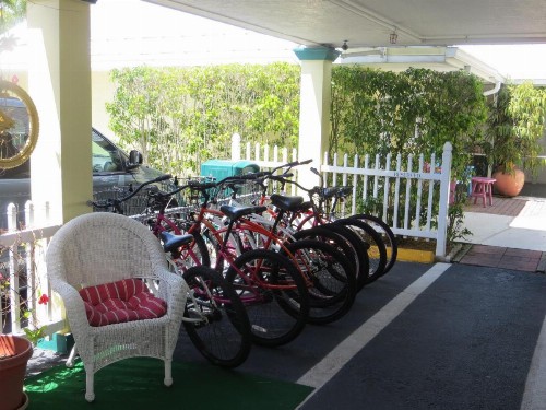 Lemon Tree Inn - image 5