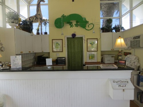 Lemon Tree Inn - image 9