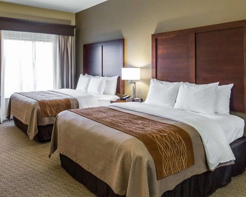 Comfort Inn & Executive Suites Naples - image 11