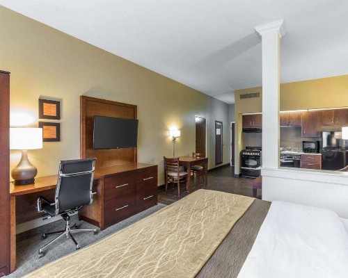 Comfort Inn & Executive Suites Naples - image 13