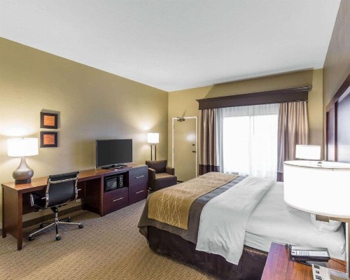Comfort Inn & Executive Suites Naples - image 20