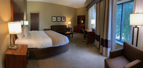 Comfort Inn & Executive Suites Naples - image 22