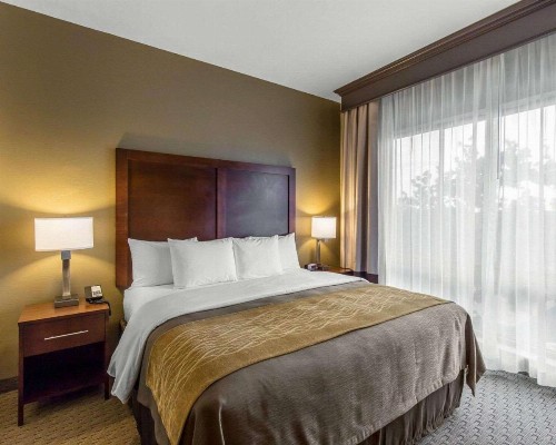 Comfort Inn & Executive Suites Naples - image 26