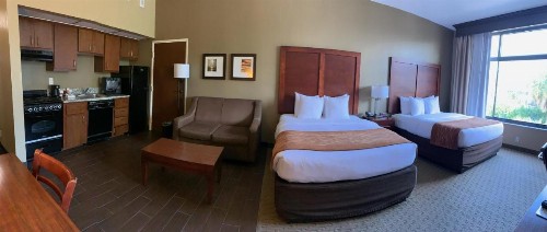 Comfort Inn & Executive Suites Naples - image 28