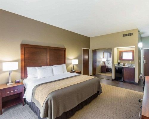 Comfort Inn & Executive Suites Naples - image 4