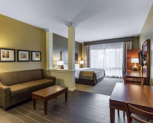 Comfort Inn & Executive Suites Naples - image 9