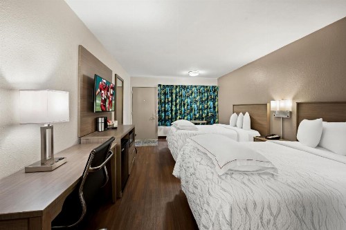 Red Roof Inn PLUS+ & Suites Naples Downtown-5th Ave S - image 26