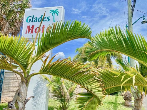 Glades Motel - Naples - image 3
