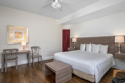 Naples Park Central Hotel - image 29