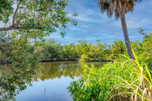 Tamiami Motel - image 25
