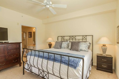 Coral Falls- Celeste Dr./Lely - image 4