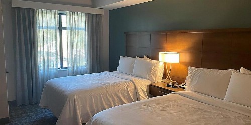 Pristine Vacation Rental Suite in Naples Florida - 5 Nights - One Bedroom #1 - image 6