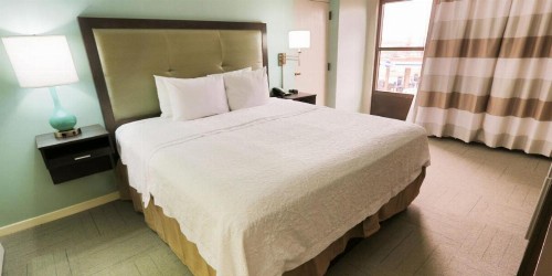 Hampton Inn & Suites Nashville-Airport - image 24
