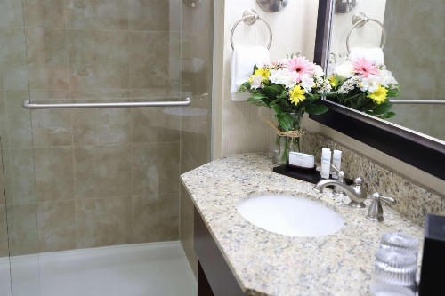 Embassy Suites Nashville - at Vanderbilt - image 13