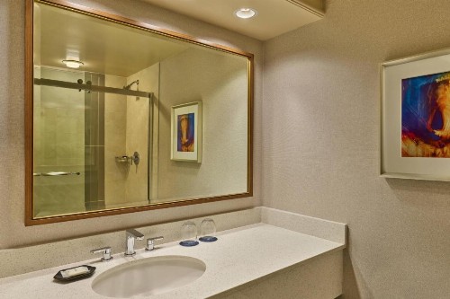 Sheraton Music City Nashville Airport - image 22
