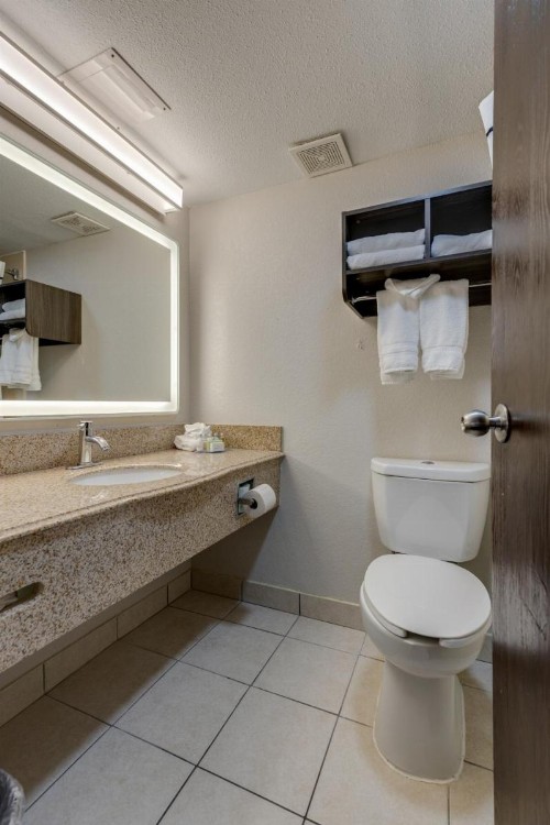 Alexis Inn and Suites Hotel - image 31