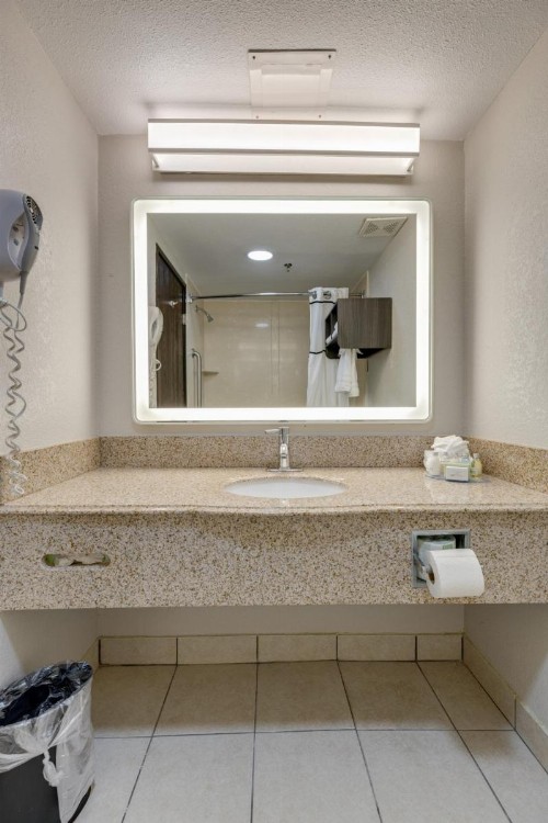 Alexis Inn and Suites Hotel - image 42